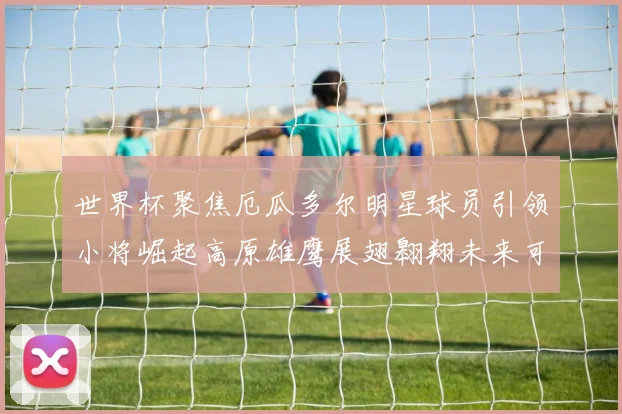世界杯聚焦厄瓜多尔明星球员引领小将崛起高原雄鹰展翅翱翔未来可期