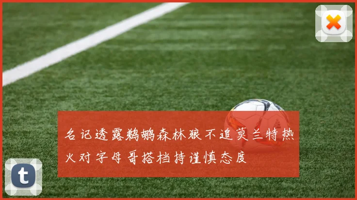名记透露鹈鹕森林狼不追莫兰特热火对字母哥搭档持谨慎态度