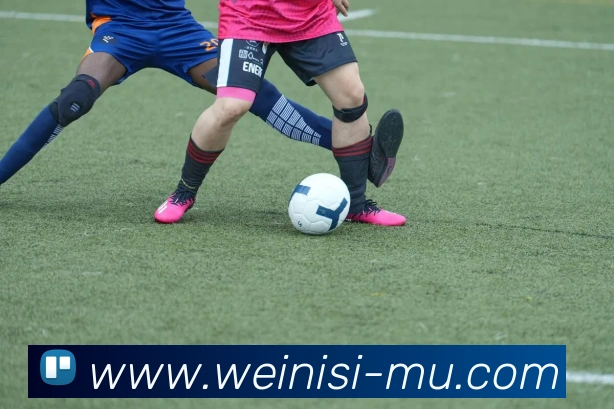 企业概况